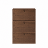 Armoire à chaussures Berto - chêne fumé avec 3 portes