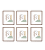 Lot de 6 cadres Paloma en bois fumé