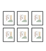 Lot de 6 cadres Paloma noirs