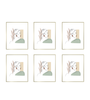 Lot de 6 cadres Lyra dorés